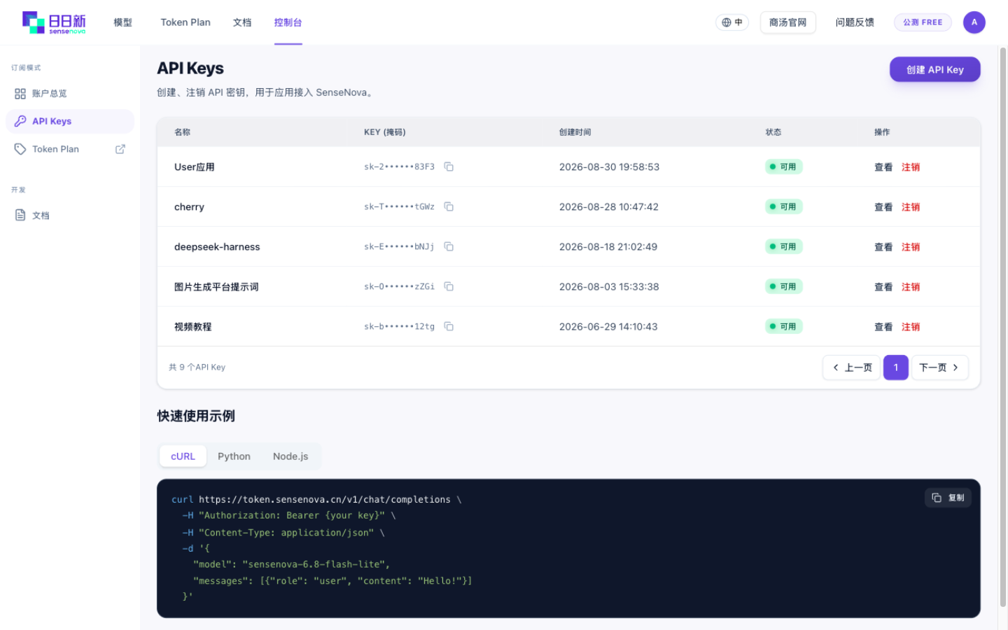 API Keys 页面与快速使用示例