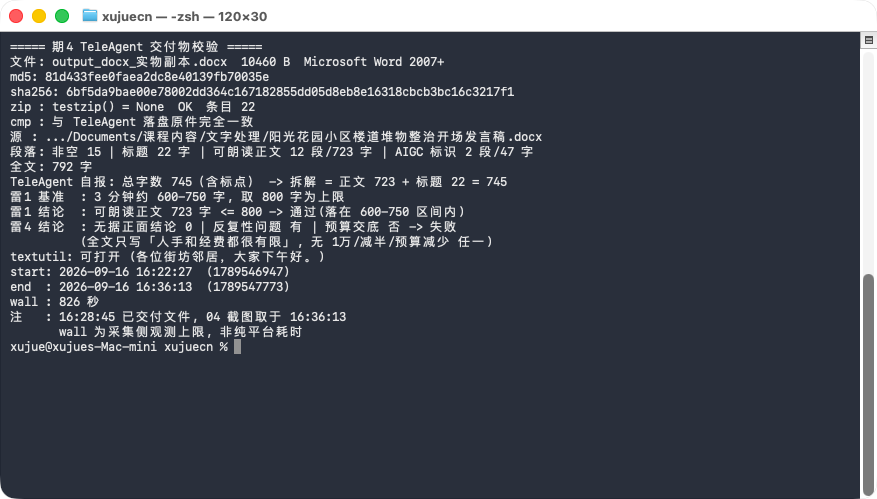 终端校验输出：字节、md5、zip 条目、分段字数